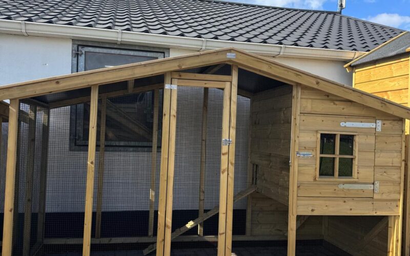 WhatsApp Image 2025-09-22 at 14.50.35